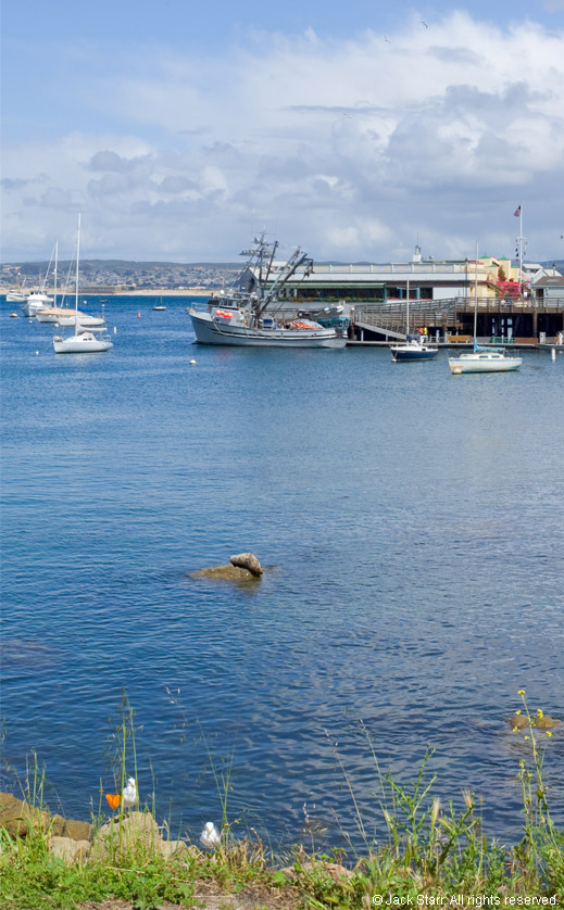 Enlarged view of middle portion of Monterey harbor panorama