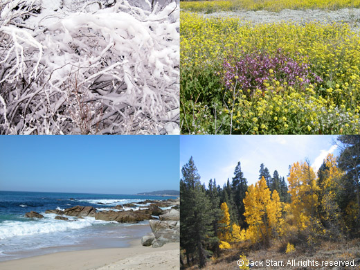 Four Seasons Composite Photo
