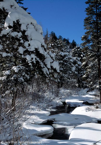 Snowy Creek